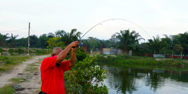 How to Choose Suitable Ultralight Fishing Rod?  Ultralight Fishing Tips  and Tricks For Ultralight Anglers