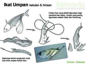 teknik-mencangkuk-umpan