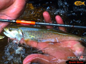 sikang-on-grenti-strike-sengat-ultralight-rod