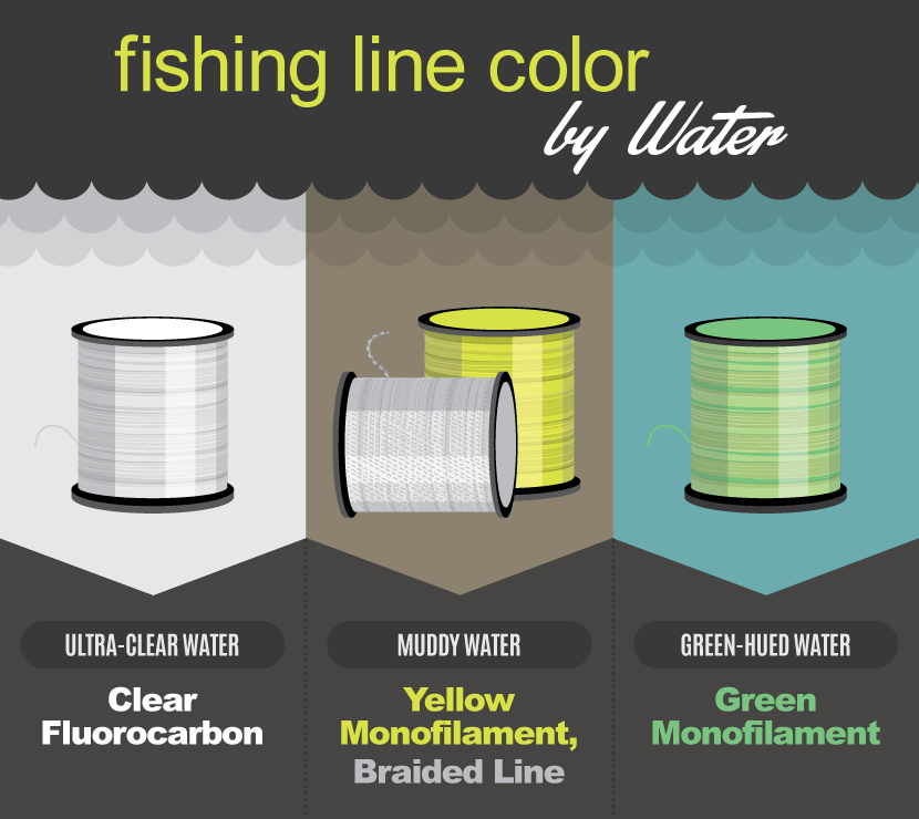 The Best Color Fishing Line: Maximizing Visibility or Minimizing Contrast -  USAngler