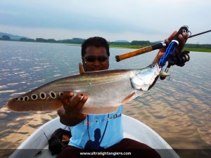 ikan-belida-clown-fish-with-ultralight-kanicen-nix-ultralight-rod-setup