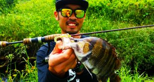 kanicen-nix-softbaits-tiger-fish-muhammad-zafri